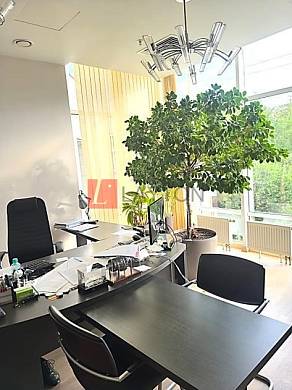 Картинка 6 офиса м2, Картинка 6 офиса м2,