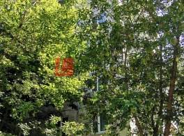  Полярная 10 0