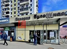 Пристройка к ЖД 3-я Владимирская улица, 31/33 0