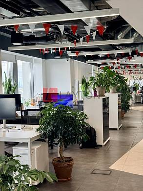 Картинка 36 офиса м2, Картинка 36 офиса м2,