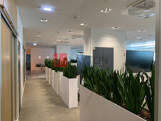 Картинка 13 офиса м2, Картинка 13 офиса м2,