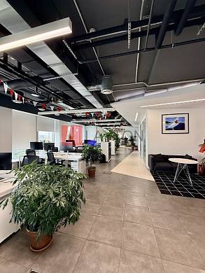 Картинка 35 офиса м2, Картинка 35 офиса м2,