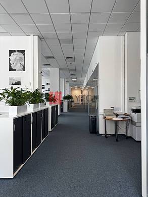 Картинка 24 офиса м2, Картинка 24 офиса м2,