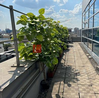 Картинка 8 офиса м2, Картинка 8 офиса м2,