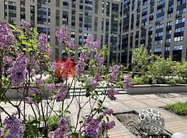 ЖК Михайлова 31А 3