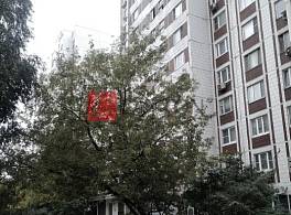 Пристройка к ЖД Рублёвское шоссе, 30к1 4