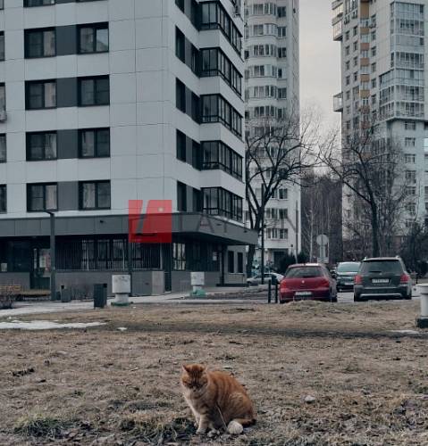 Жилой Дом Ярцевская улица, 27/4 - картинка 6 Жилой Дом Ярцевская улица, 27/4 - картинка 6